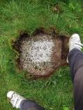 image of grave number 445779